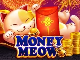 Money Meow game thumbnail